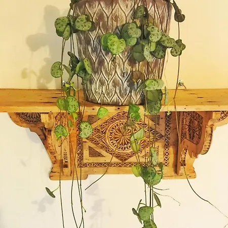 Hippie Happy House - Drewniany Domek Z Kominkiem Nowa Wies Przywidzka